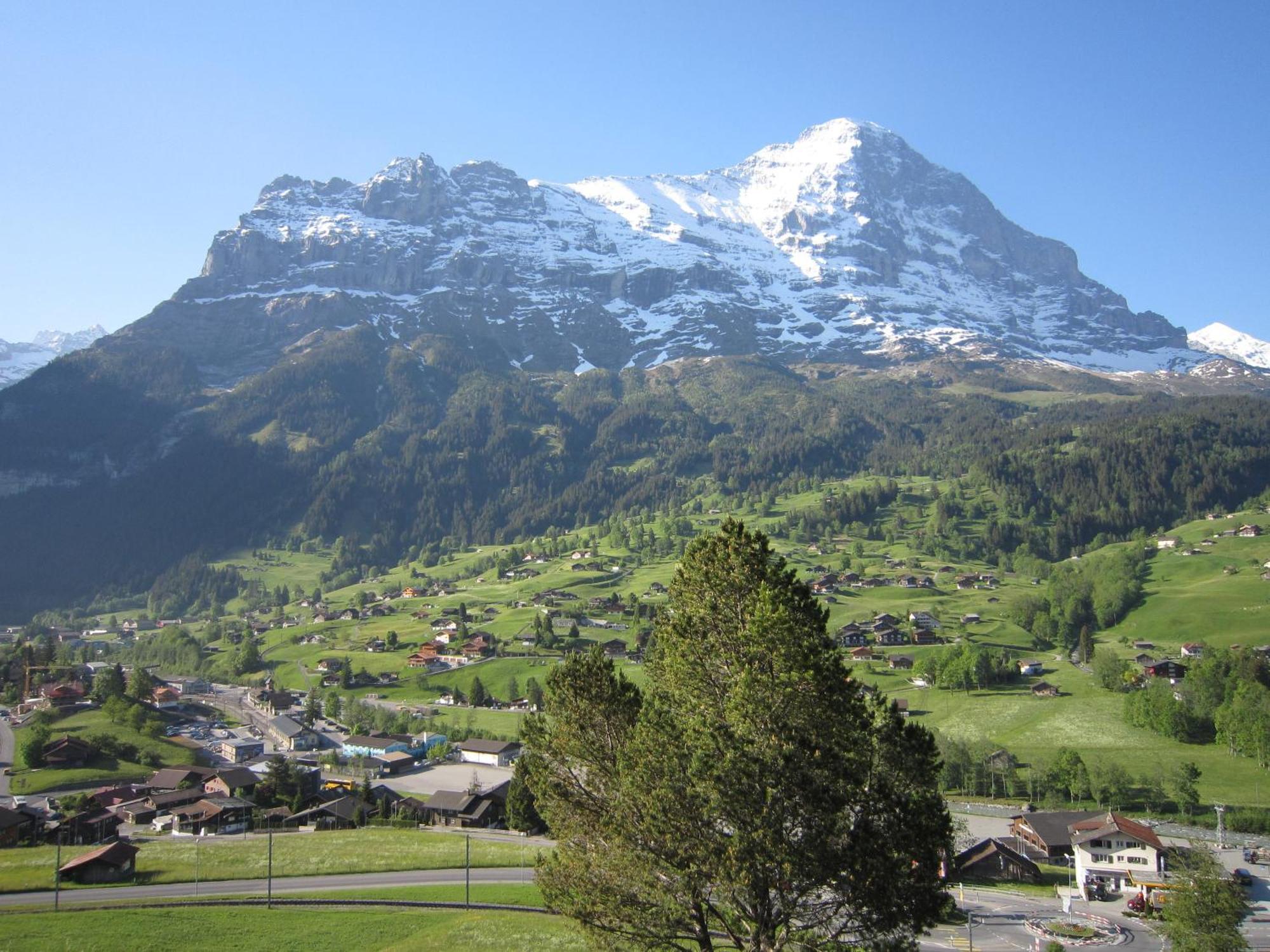 Chalet Aiiny Grindelwald Eksteriør billede