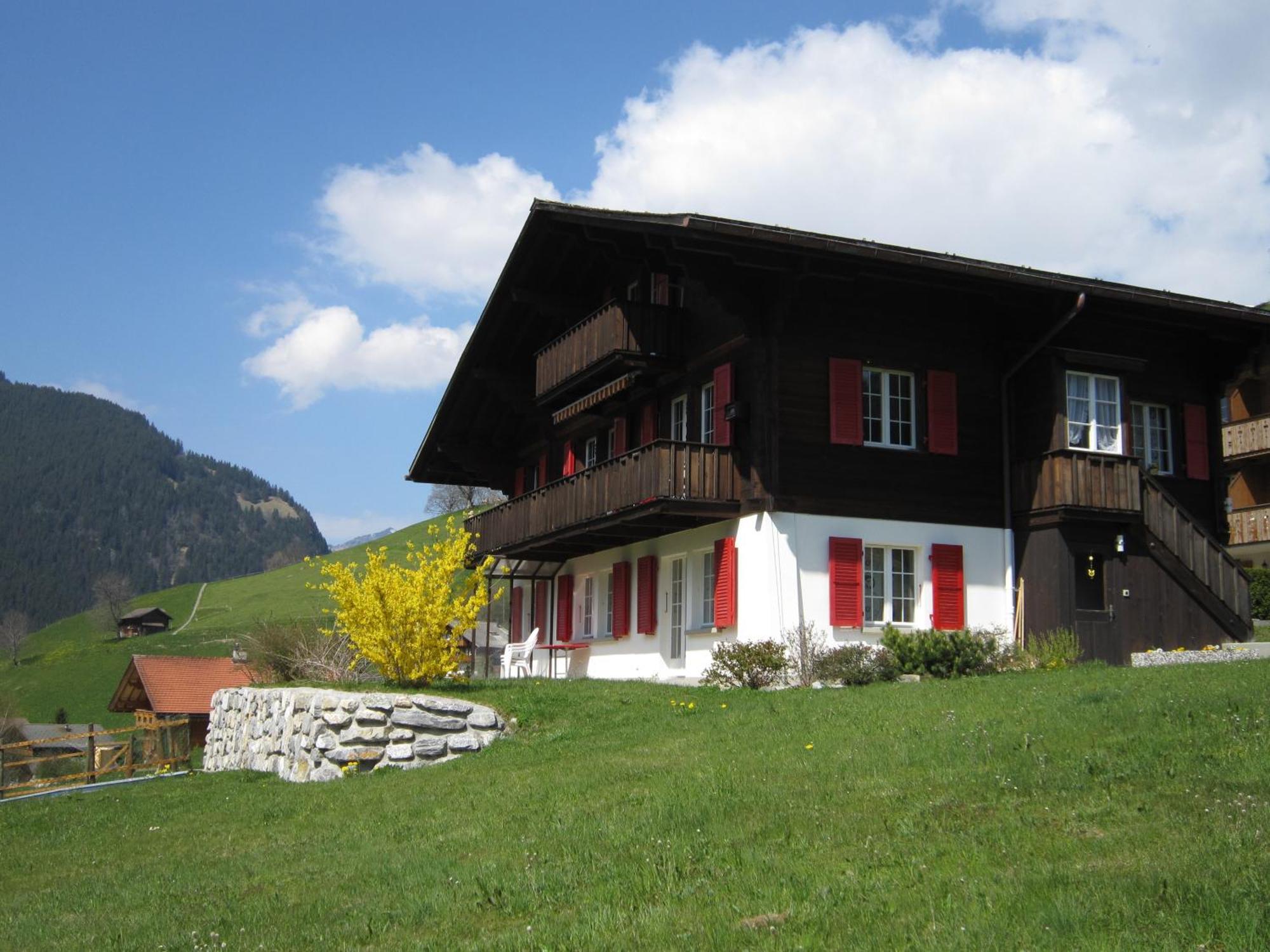 Chalet Aiiny Grindelwald Eksteriør billede